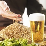 Media Tonelada de Malta Importada 2 Row Pale Ale Cargill